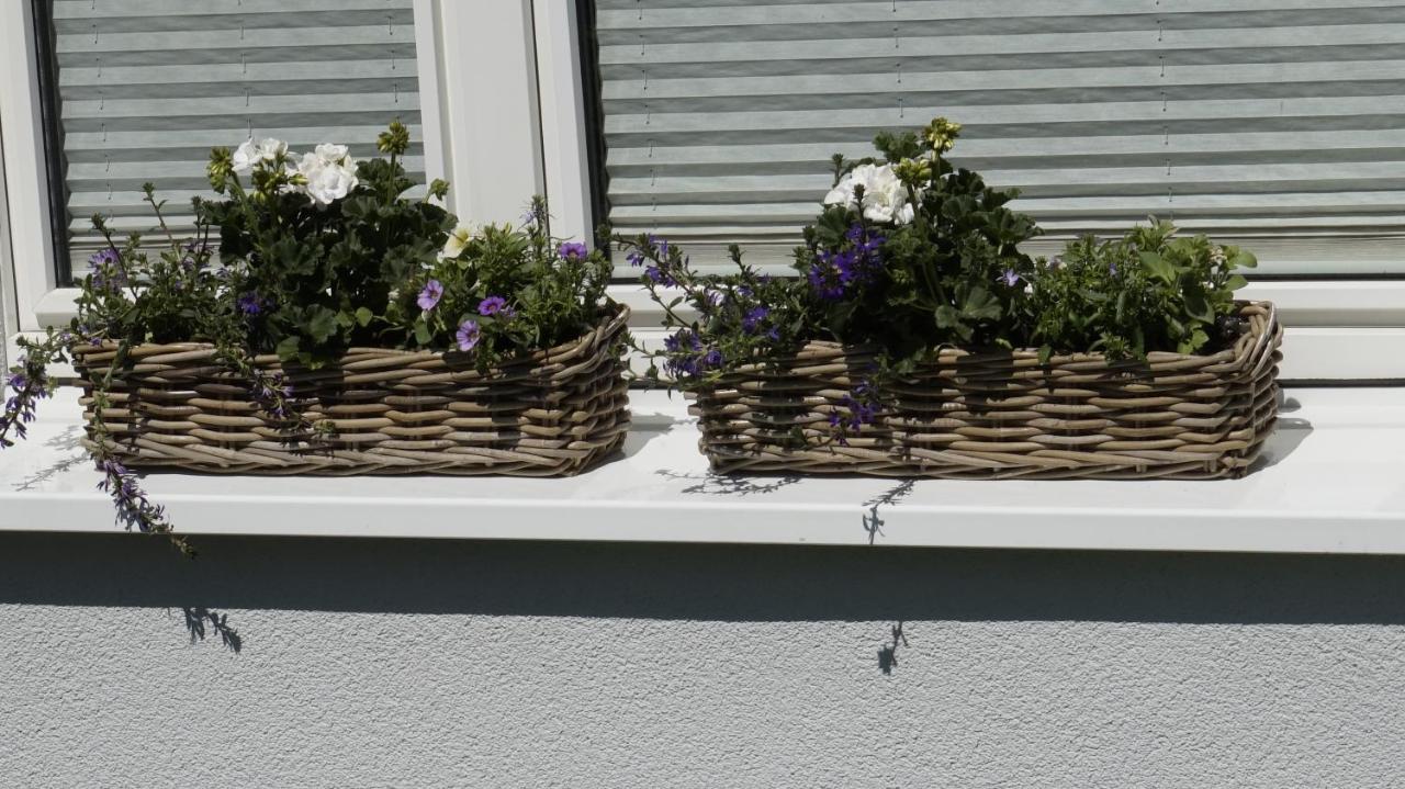 Ferienwohnung Wiesenblick Nahe Region Celle Und Hannover Buchholz Aller Εξωτερικό φωτογραφία